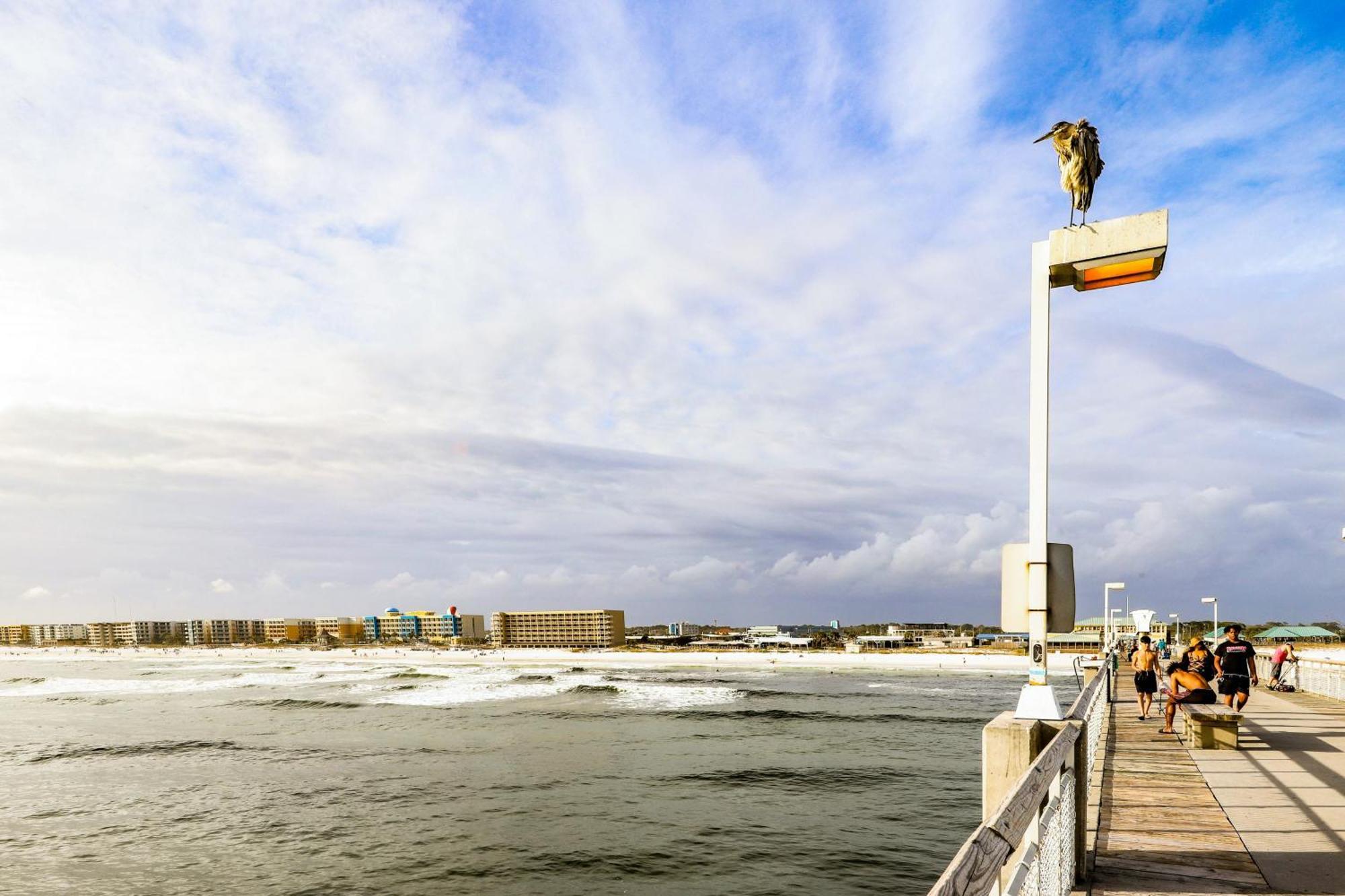 Vila Sea Oats Fort Walton Beach Pokoj fotografie